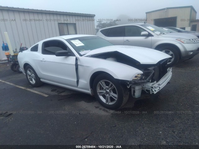 FORD MUSTANG 2014 1zvbp8am0e5321693