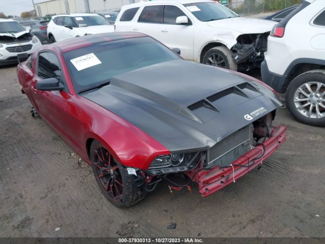 FORD MUSTANG 2014 1zvbp8am0e5329499