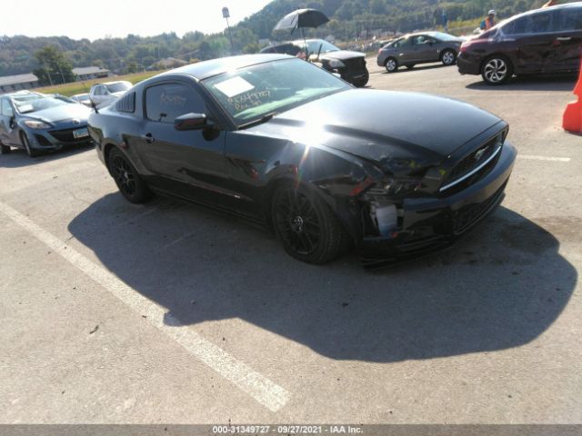 FORD MUSTANG 2014 1zvbp8am0e5334492