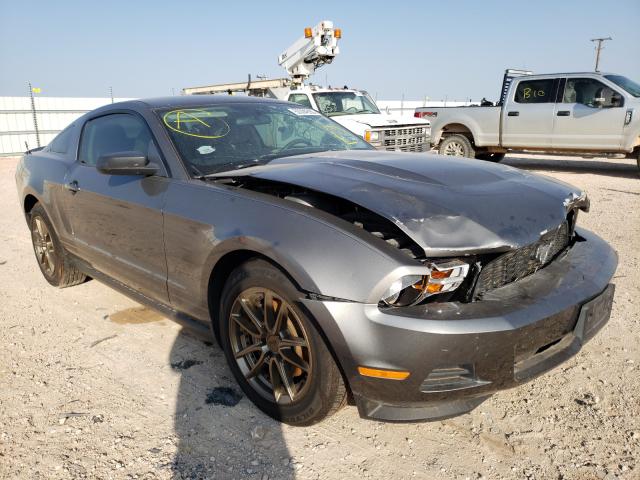 FORD MUSTANG 2011 1zvbp8am1b5103838