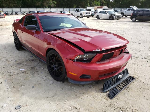 FORD MUSTANG 2011 1zvbp8am1b5106450