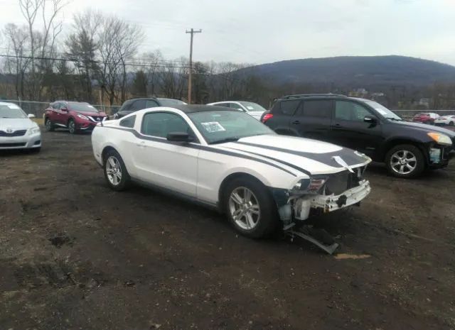 FORD MUSTANG 2011 1zvbp8am1b5115746