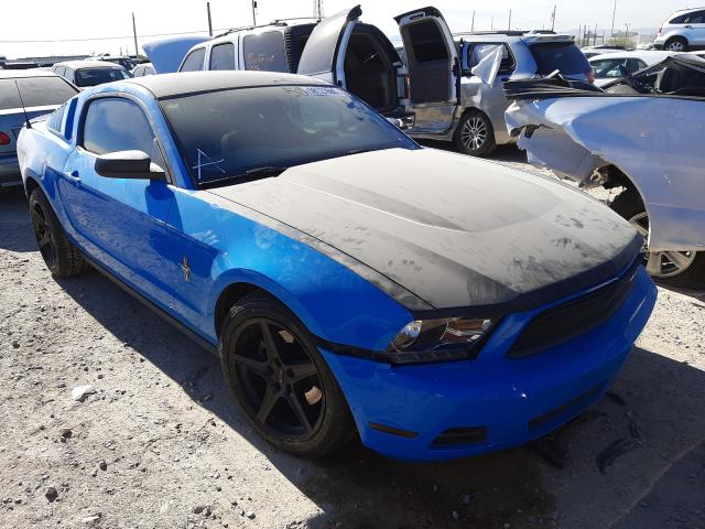 FORD MUSTANG 2011 1zvbp8am1b5117724