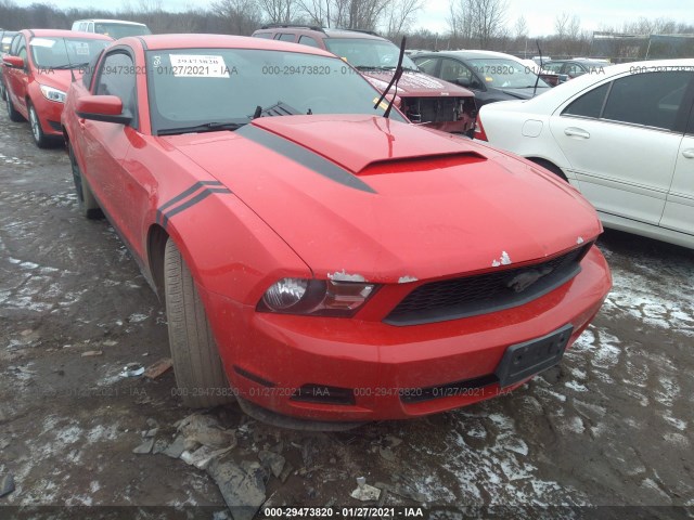 FORD MUSTANG 2011 1zvbp8am1b5119120