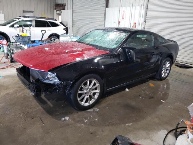 FORD MUSTANG 2011 1zvbp8am1b5124124