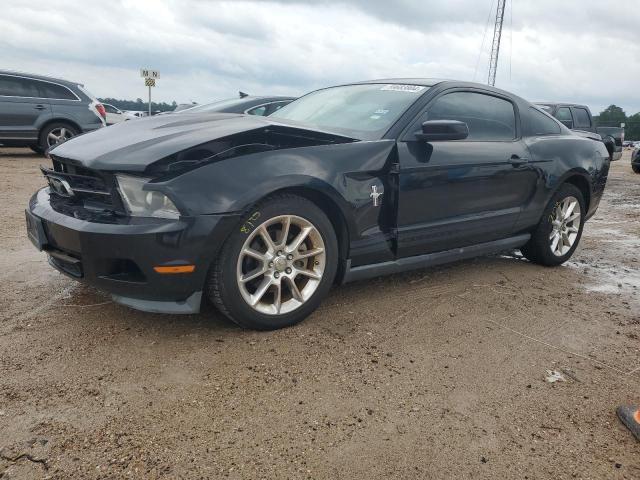 FORD MUSTANG 2011 1zvbp8am1b5125211