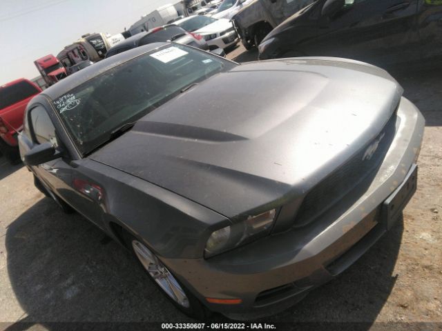 FORD MUSTANG 2011 1zvbp8am1b5125287