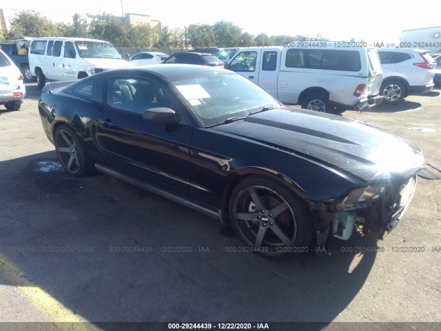 FORD MUSTANG 2011 1zvbp8am1b5125810