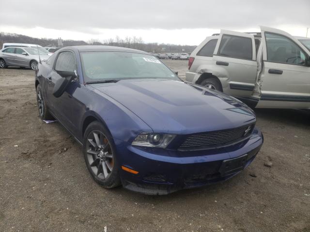 FORD MUSTANG 2011 1zvbp8am1b5128870