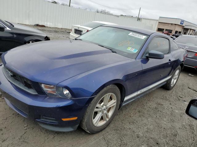 FORD MUSTANG 2011 1zvbp8am1b5130442