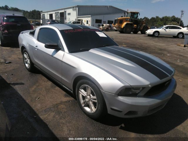 FORD MUSTANG 2011 1zvbp8am1b5131087