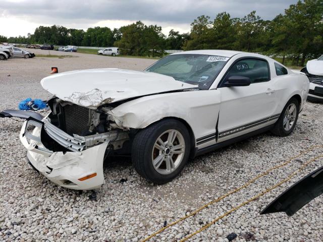 FORD MUSTANG 2011 1zvbp8am1b5131302