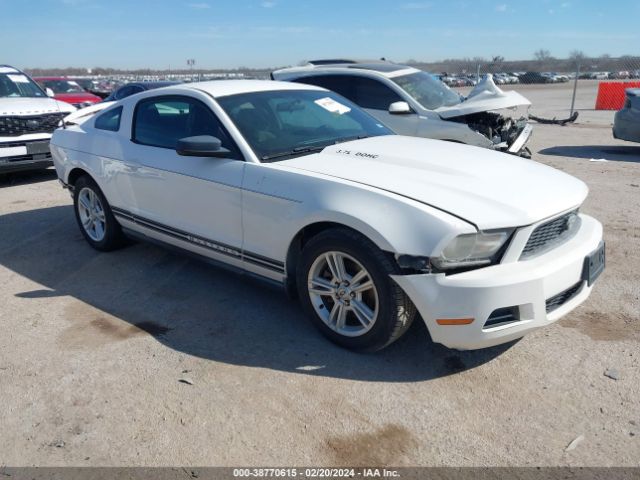 FORD MUSTANG 2011 1zvbp8am1b5134037