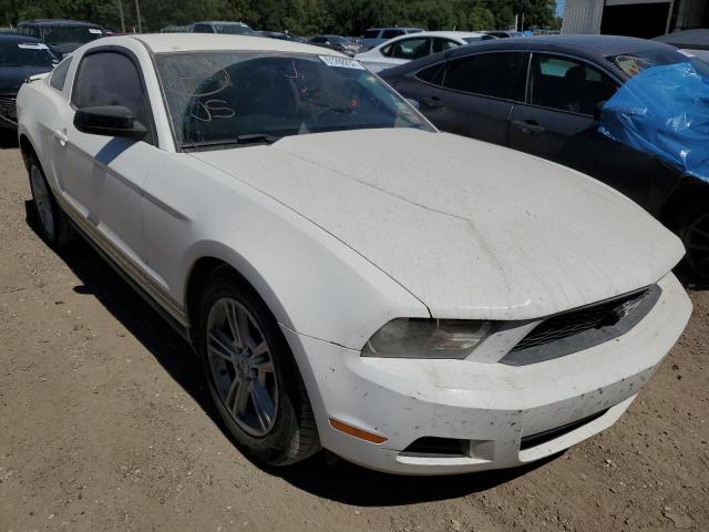 FORD MUSTANG 2011 1zvbp8am1b5135480