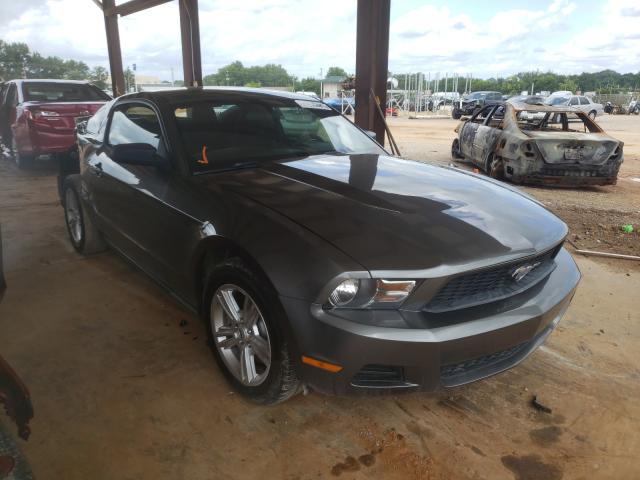 FORD MUSTANG 2011 1zvbp8am1b5137567