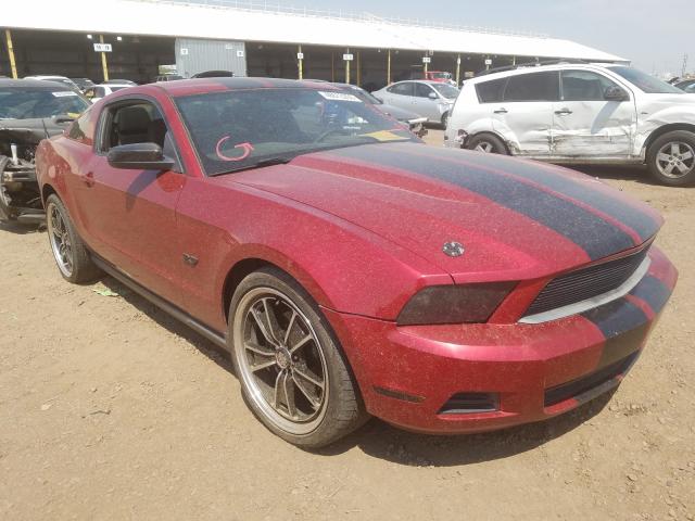 FORD MUSTANG 2011 1zvbp8am1b5138170