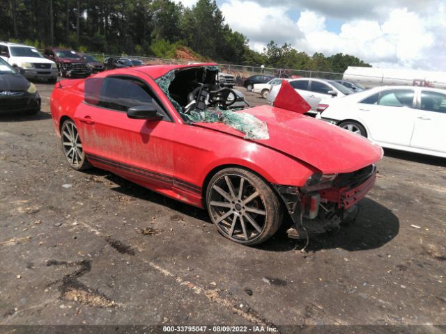 FORD MUSTANG 2011 1zvbp8am1b5138363