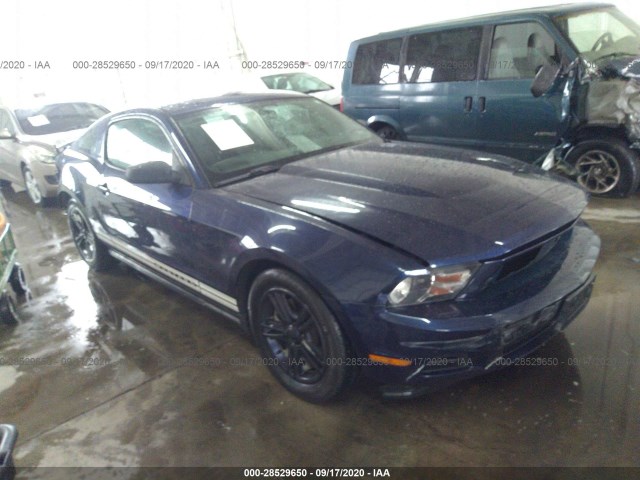 FORD MUSTANG 2011 1zvbp8am1b5146480