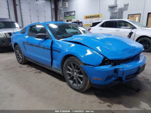 FORD MUSTANG 2011 1zvbp8am1b5149573