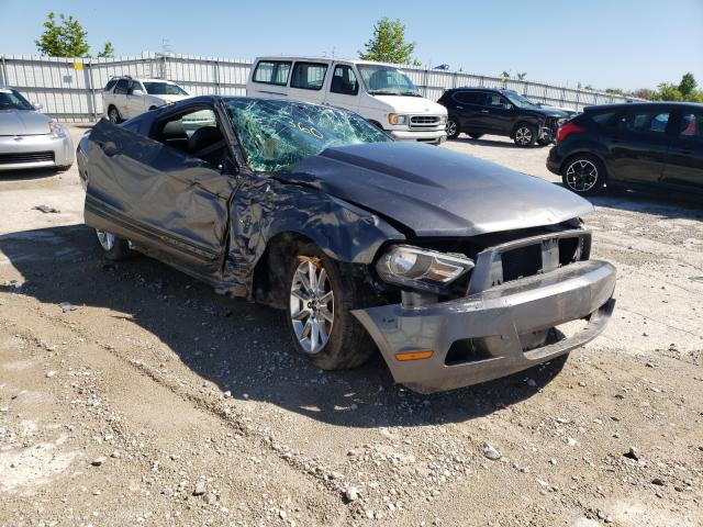 FORD MUSTANG 2011 1zvbp8am1b5151694