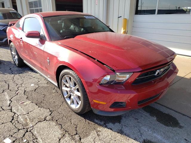 FORD MUSTANG 2011 1zvbp8am1b5151713