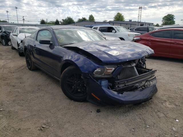 FORD MUSTANG 2011 1zvbp8am1b5151842