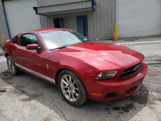 FORD MUSTANG 2011 1zvbp8am1b5155311