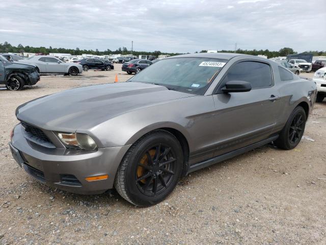 FORD MUSTANG 2011 1zvbp8am1b5161352