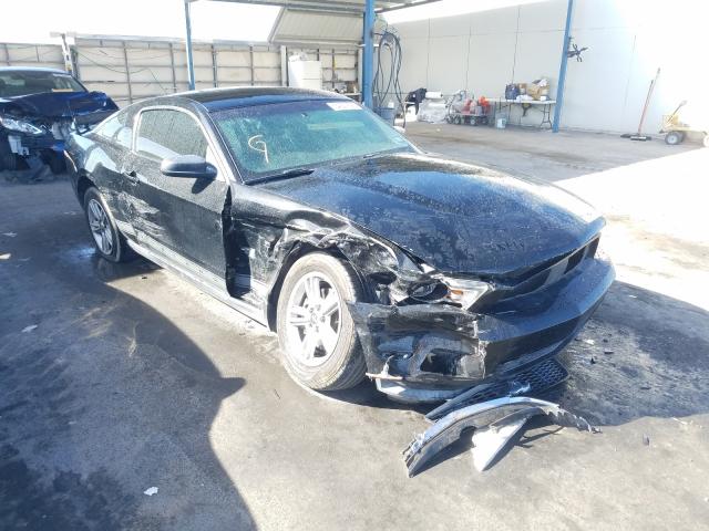 FORD MUSTANG 2011 1zvbp8am1b5165448