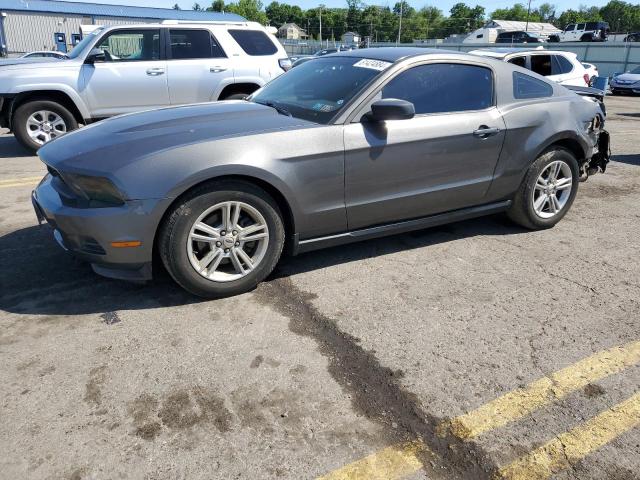 FORD MUSTANG 2011 1zvbp8am1b5166969