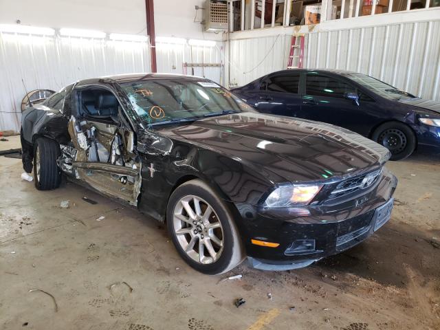 FORD MUSTANG 2011 1zvbp8am1b5168933