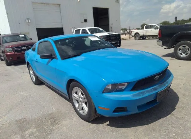 FORD MUSTANG 2011 1zvbp8am1b5169452