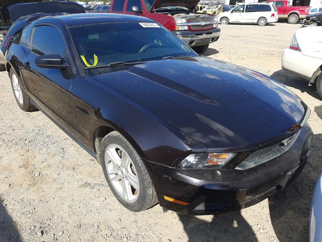 FORD MUSTANG 2012 1zvbp8am1c5204640