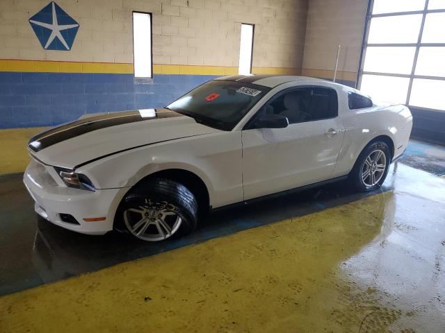 FORD MUSTANG 2012 1zvbp8am1c5242224