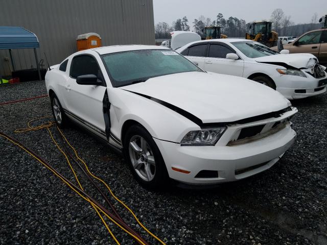 FORD MUSTANG 2012 1zvbp8am1c5271156