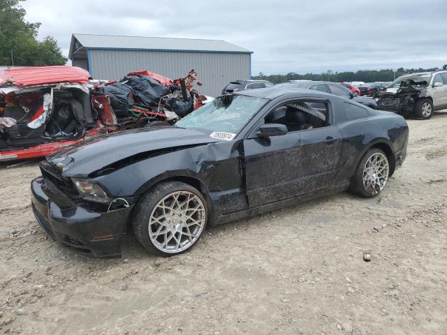 FORD MUSTANG 2013 1zvbp8am1d5203389