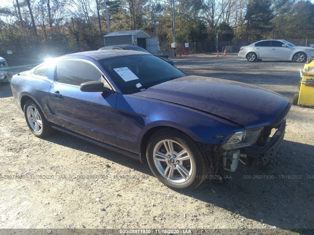 FORD MUSTANG 2013 1zvbp8am1d5203411