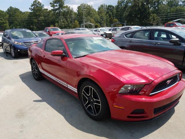 FORD MUSTANG 2013 1zvbp8am1d5204185