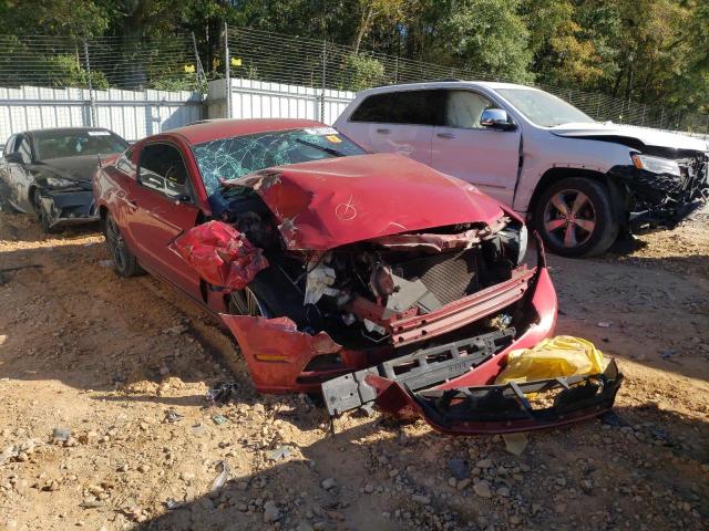 FORD MUSTANG 2013 1zvbp8am1d5205689