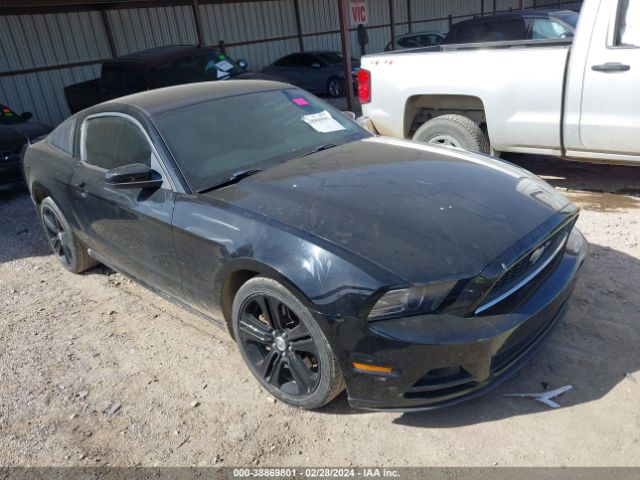 FORD MUSTANG 2013 1zvbp8am1d5206082