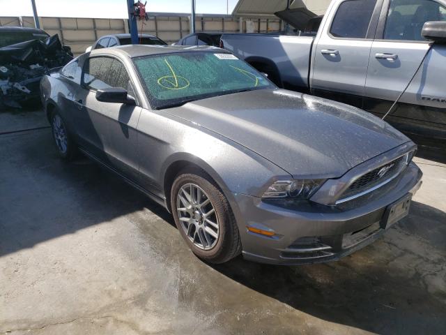 FORD MUSTANG 2013 1zvbp8am1d5206258