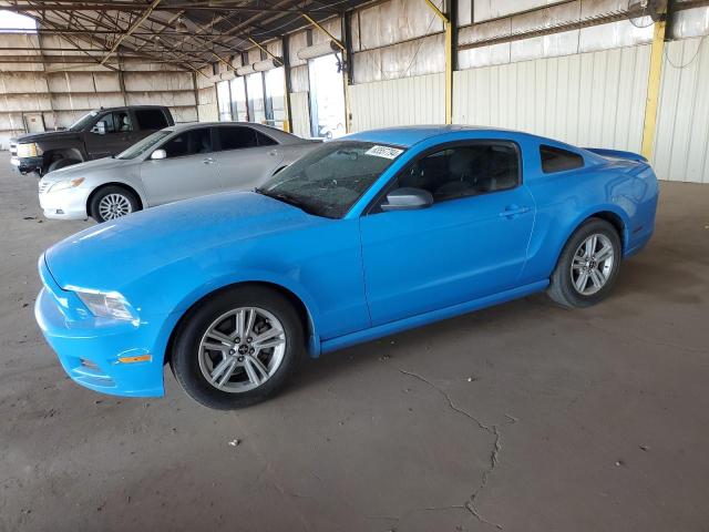 FORD MUSTANG 2013 1zvbp8am1d5213713