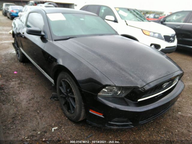 FORD MUSTANG 2013 1zvbp8am1d5221150