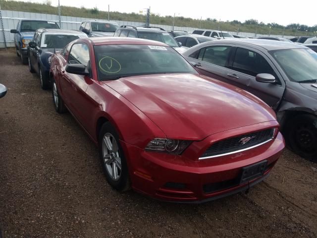 FORD MUSTANG 2013 1zvbp8am1d5224162