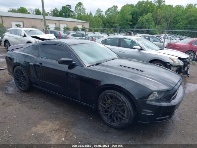 FORD MUSTANG 2013 1zvbp8am1d5225800