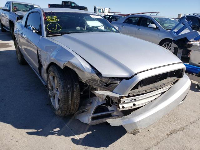 FORD MUSTANG 2013 1zvbp8am1d5225991