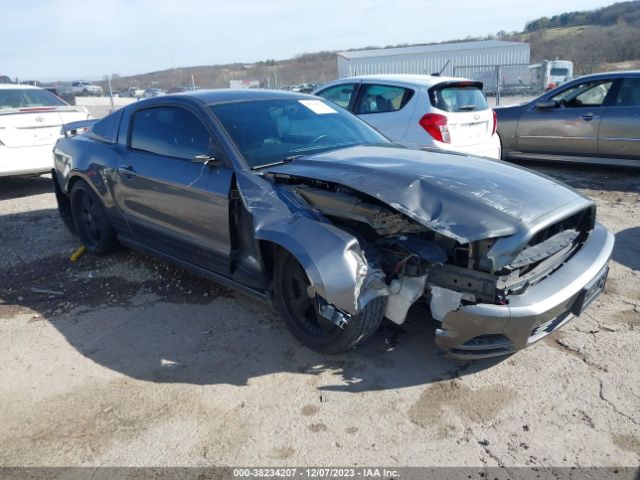 FORD MUSTANG 2013 1zvbp8am1d5227515