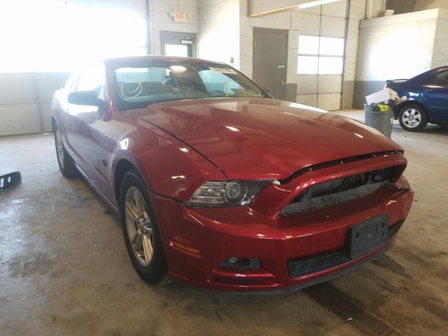 FORD MUSTANG 2013 1zvbp8am1d5228504