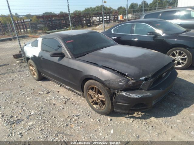 FORD MUSTANG 2013 1zvbp8am1d5230267