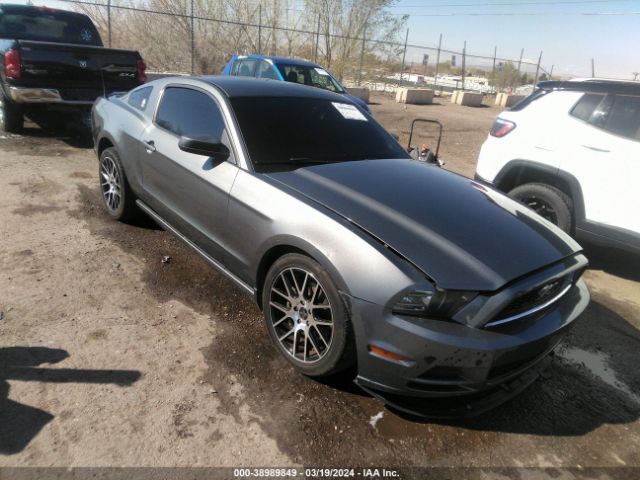 FORD MUSTANG 2013 1zvbp8am1d5241768